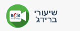 שיעורי ברידג' בוידאו